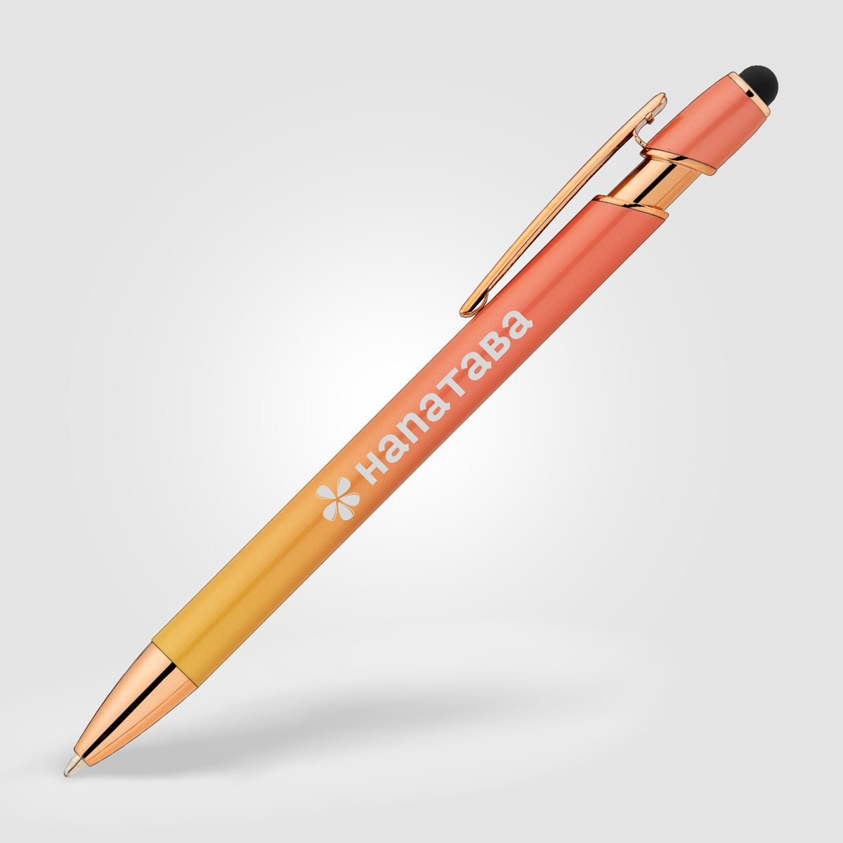Stylo Prince Ombre avec Stylet